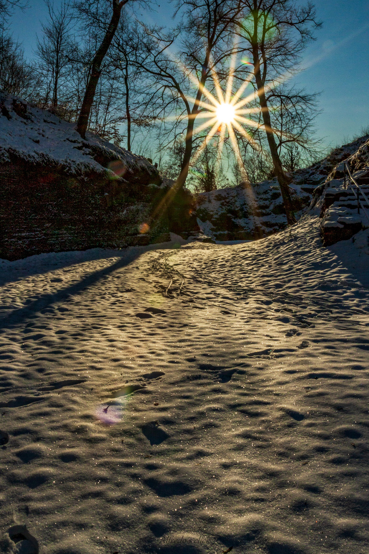 Sonniger Gruß vom Schlossberg/Homburg