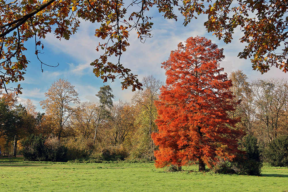 Sonniger Herbst