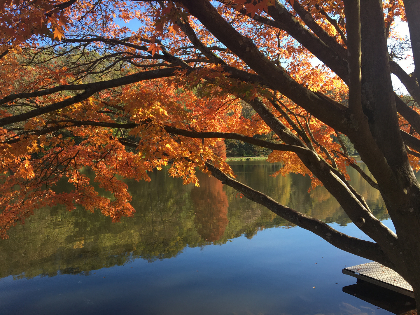 Sonniger Herbst