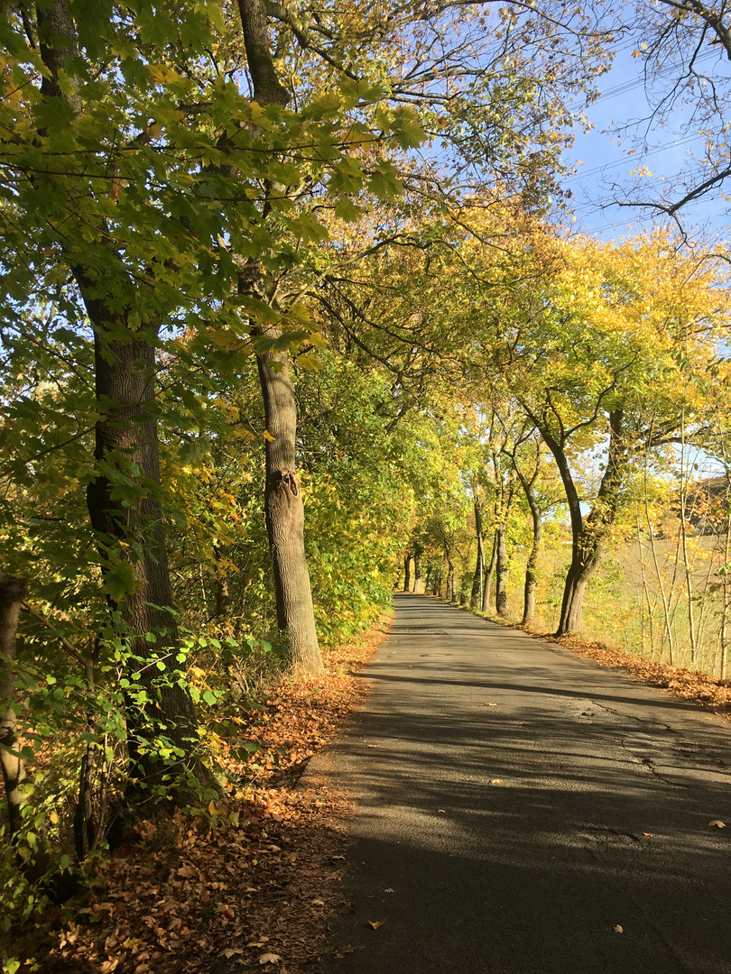 sonniger Herbst