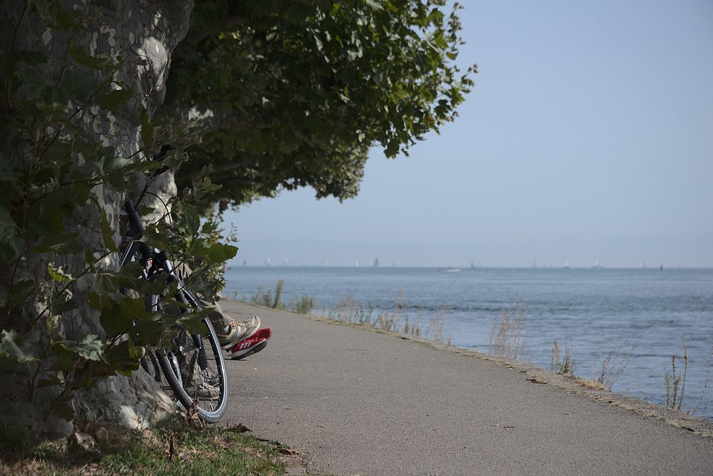 Sonniger Herbst am Bodenseeufer bei Konstanz