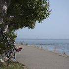 Sonniger Herbst am Bodenseeufer bei Konstanz