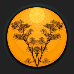 Sonniger Herbst   /   Autunno soleggiato