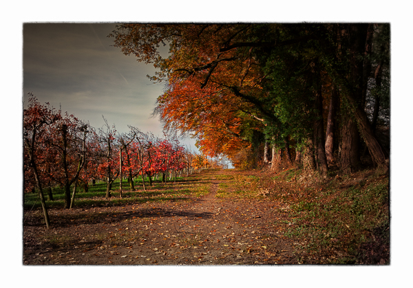 Sonniger Herbst