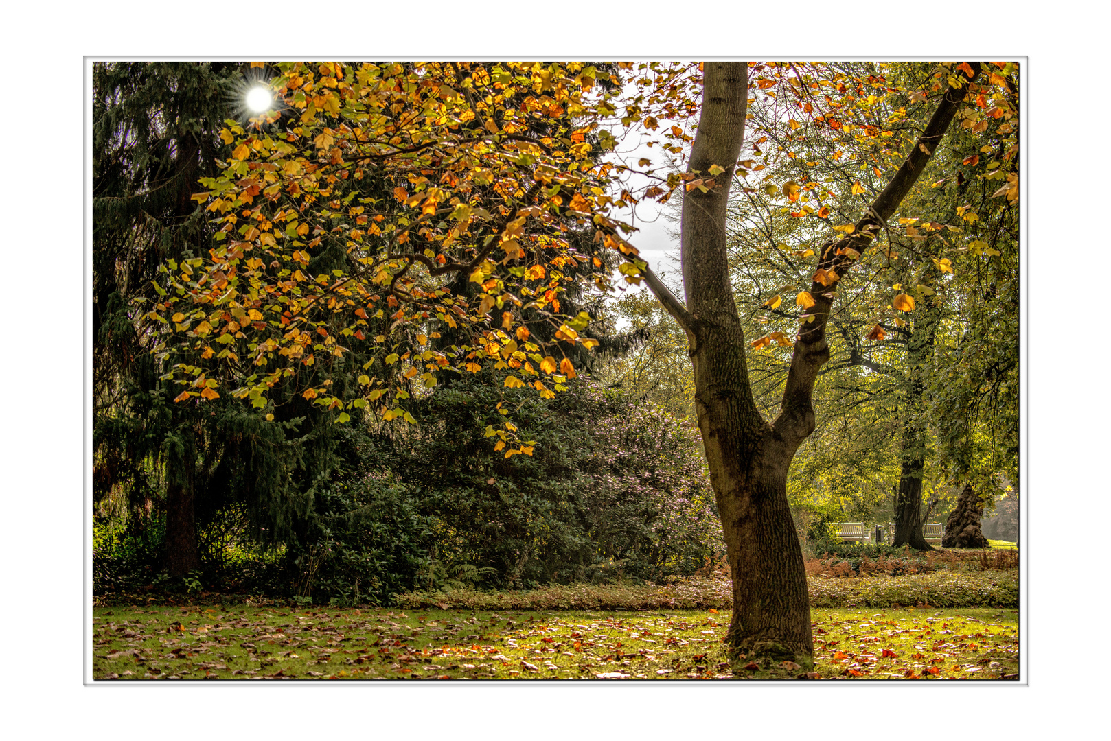 sonniger Herbst