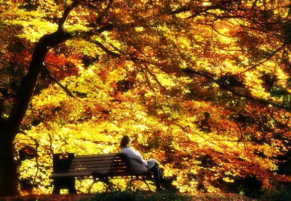 . . . sonniger Herbst . . .