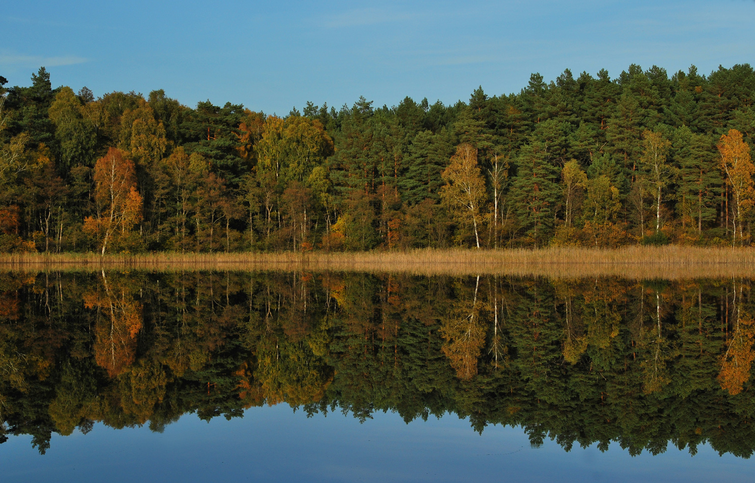 Sonniger Herbst gegen graue Novembertage