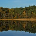 Sonniger Herbst gegen graue Novembertage