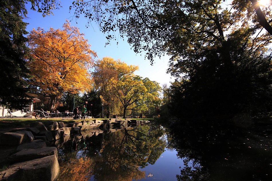 sonniger Herbst im Grazer Stadtpark