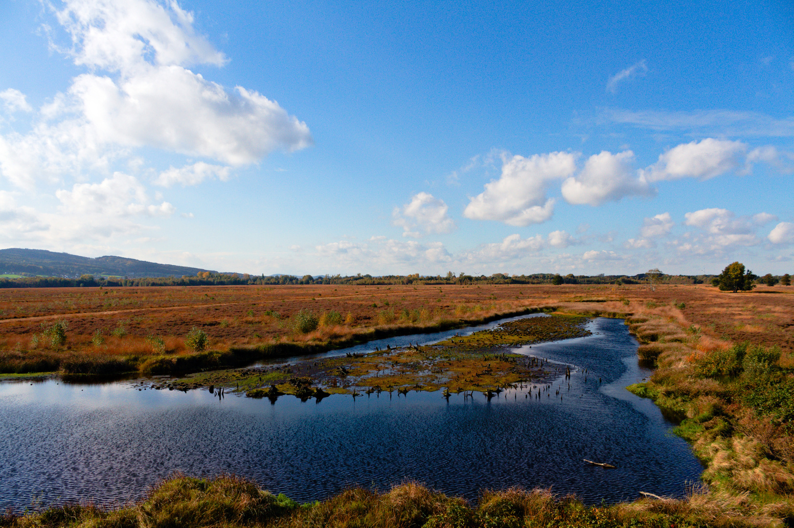 sonniger Herbst im Moor