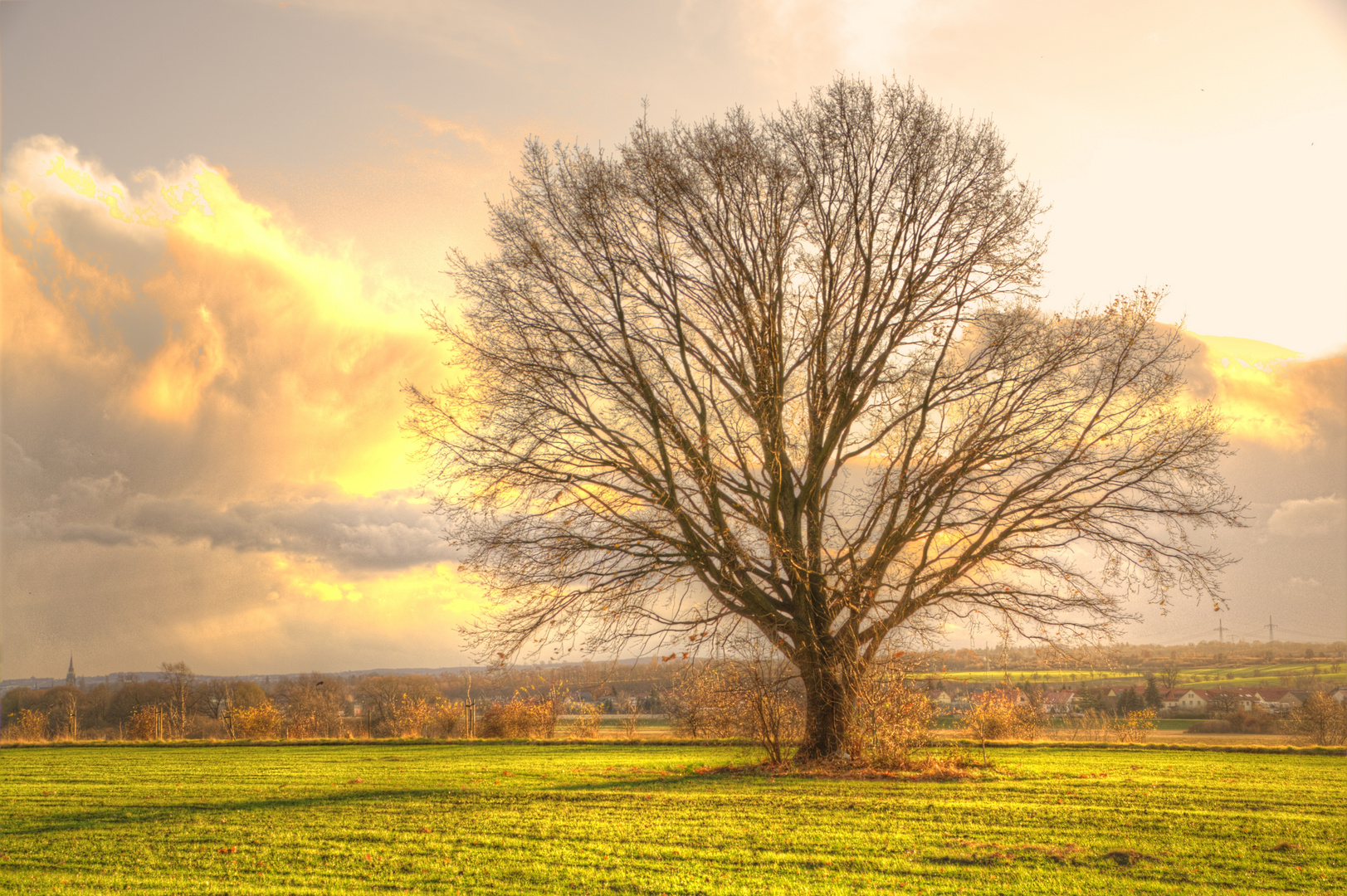 Sonniger Herbstabend an der Elbe