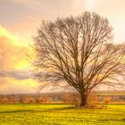 Sonniger Herbstabend an der Elbe