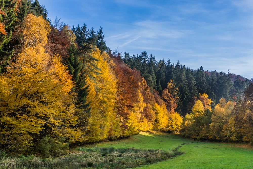 Sonniger Herbstnachmittag