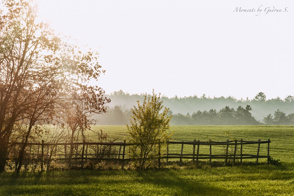 Sonniger Herbstnachmittag