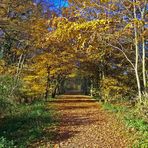 Sonniger Herbstspaziergang