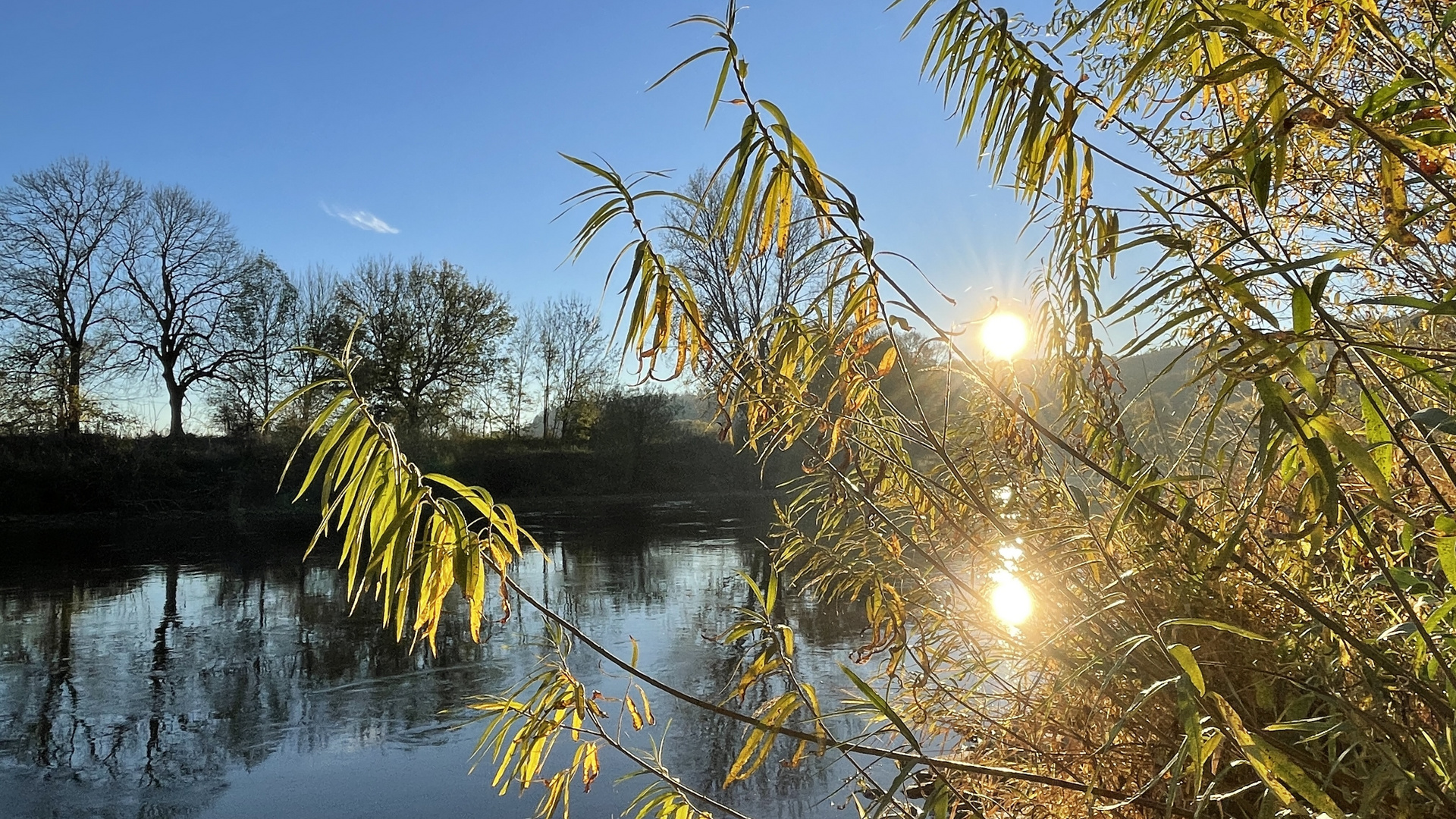 Sonniger Herbstspaziergang an der Weser