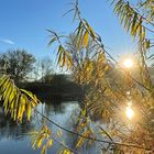 Sonniger Herbstspaziergang an der Weser