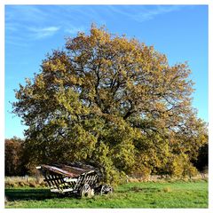 Sonniger Herbsttag