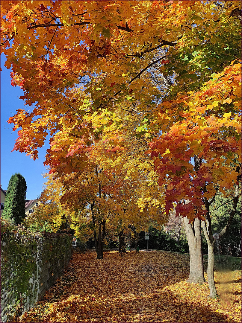 Sonniger Herbsttag 