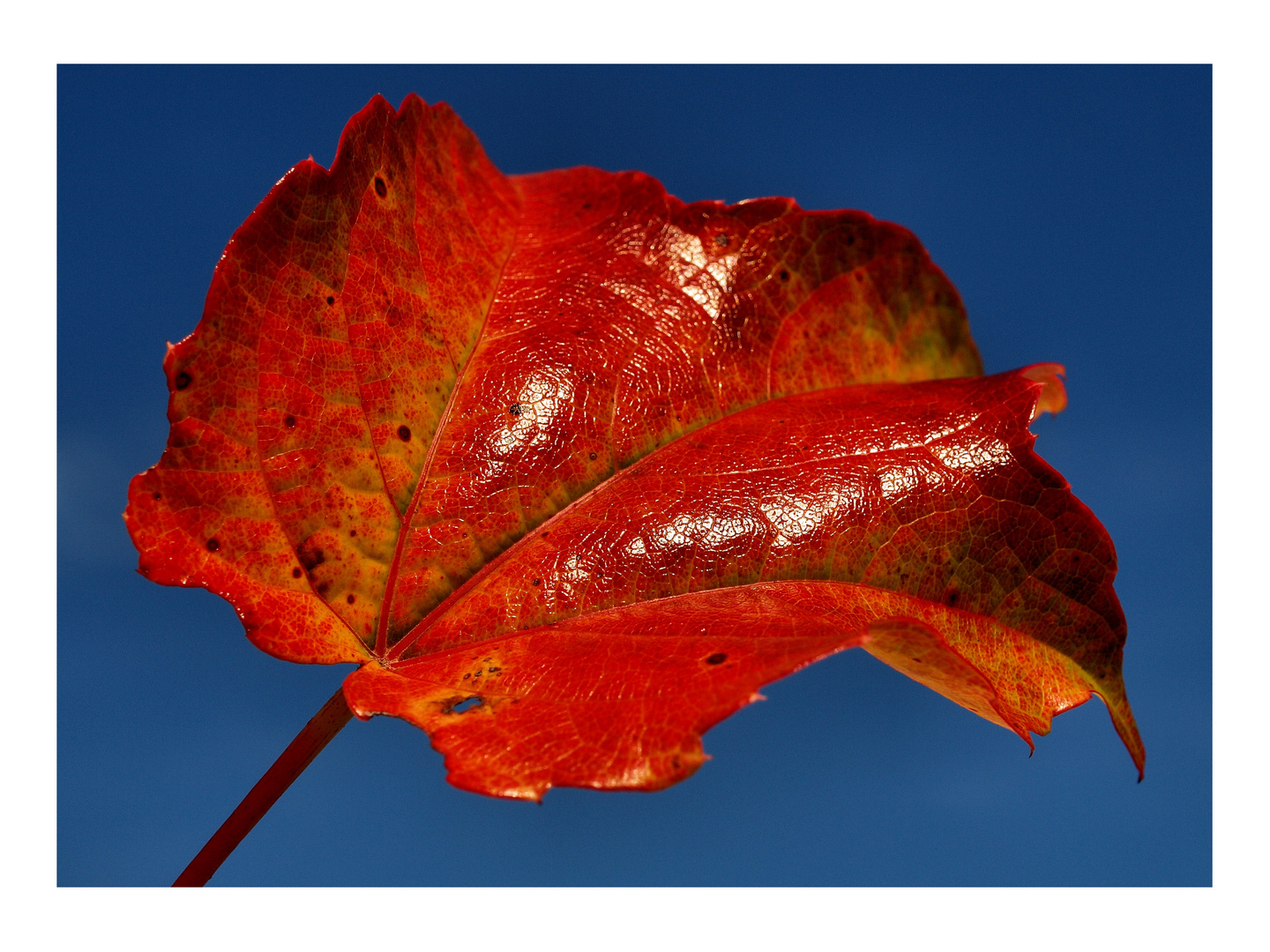 Sonniger Herbsttag