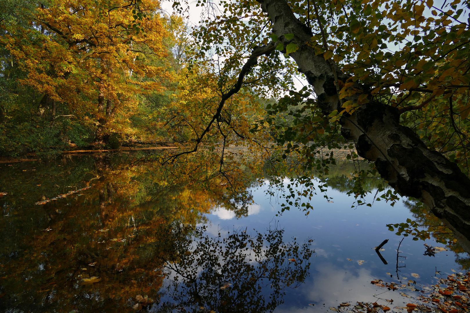 Sonniger Herbsttag