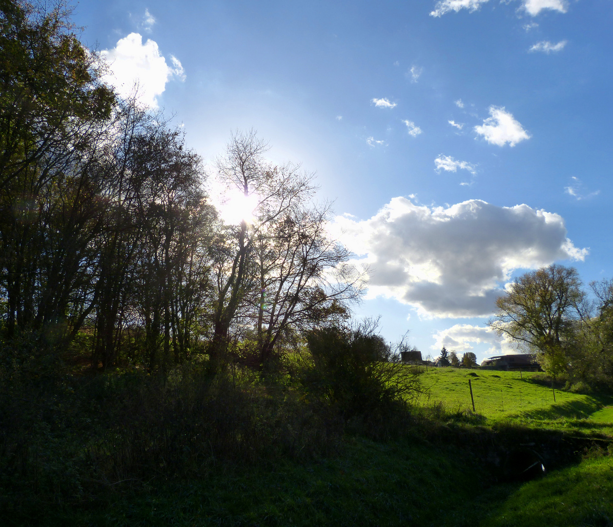 sonniger Herbsttag