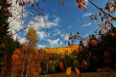 sonniger Herbsttag