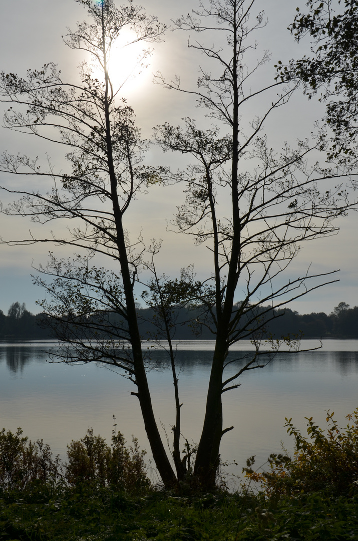 Sonniger Herbsttag