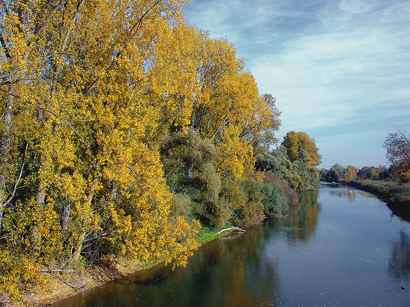 . . . sonniger Herbsttag am Altrhein - Kühkopf