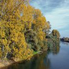 . . . sonniger Herbsttag am Altrhein - Kühkopf