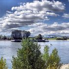 Sonniger Herbsttag am Rhein in Neuwied