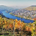 Sonniger Herbsttag an der Mosel