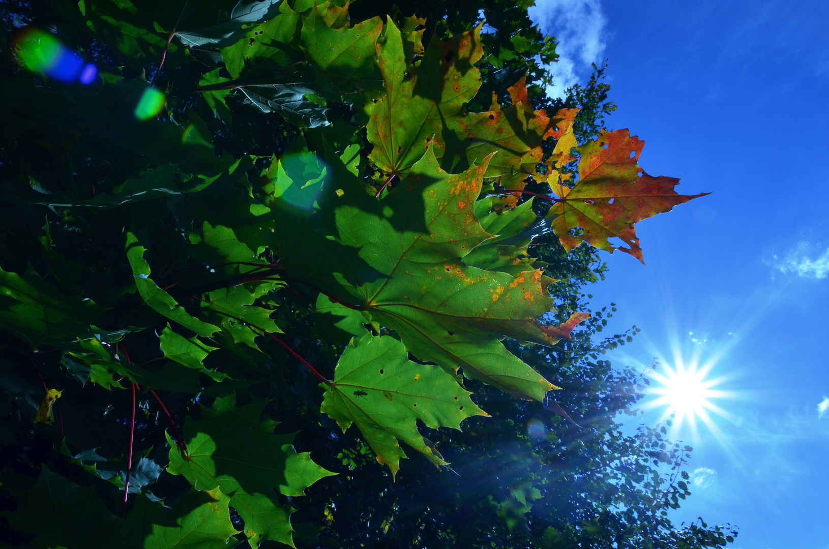 Sonniger Herbsttag