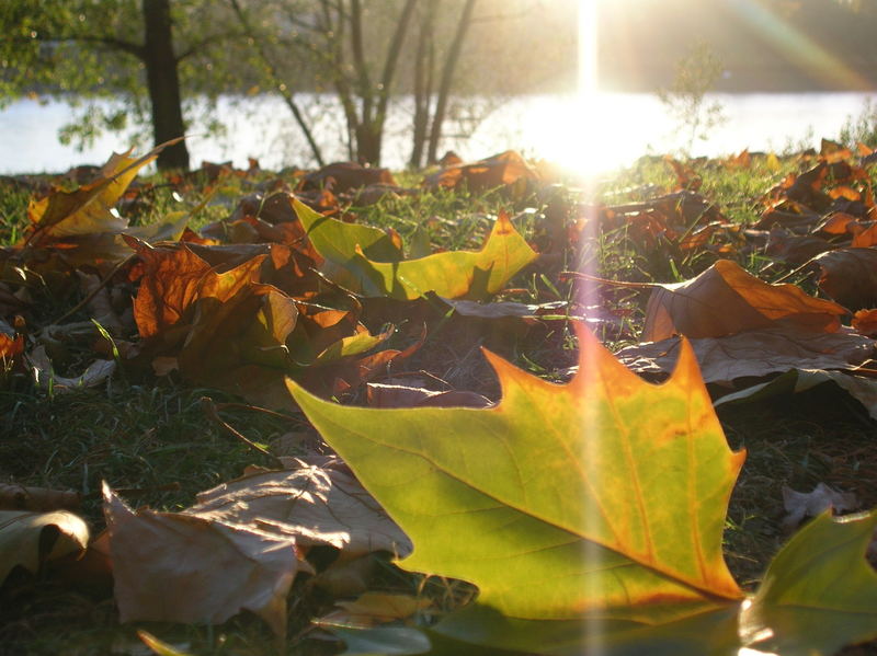 sonniger Herbsttag