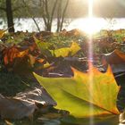 sonniger Herbsttag