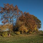 Sonniger Herbsttag