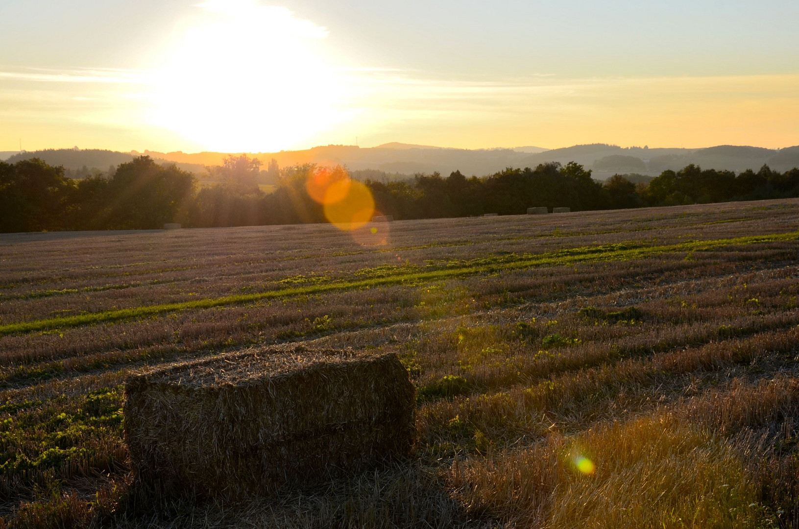 Sonniger Herbsttag die 2te