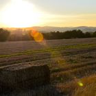 Sonniger Herbsttag die 2te