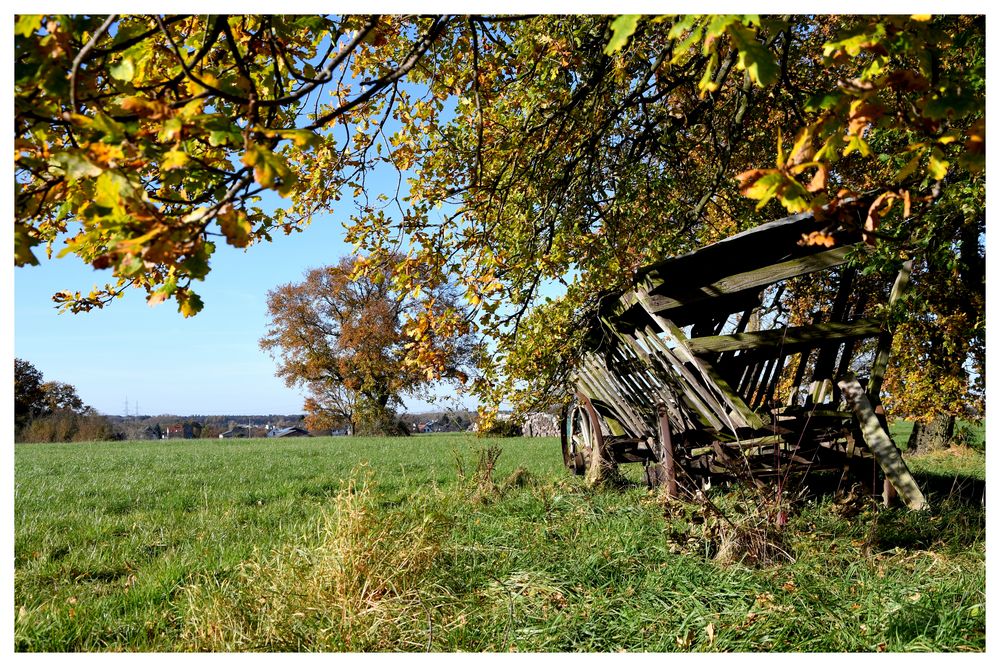 Sonniger Herbsttag