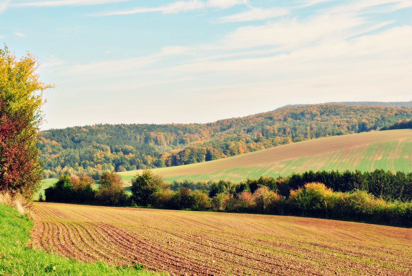 Sonniger Herbsttag