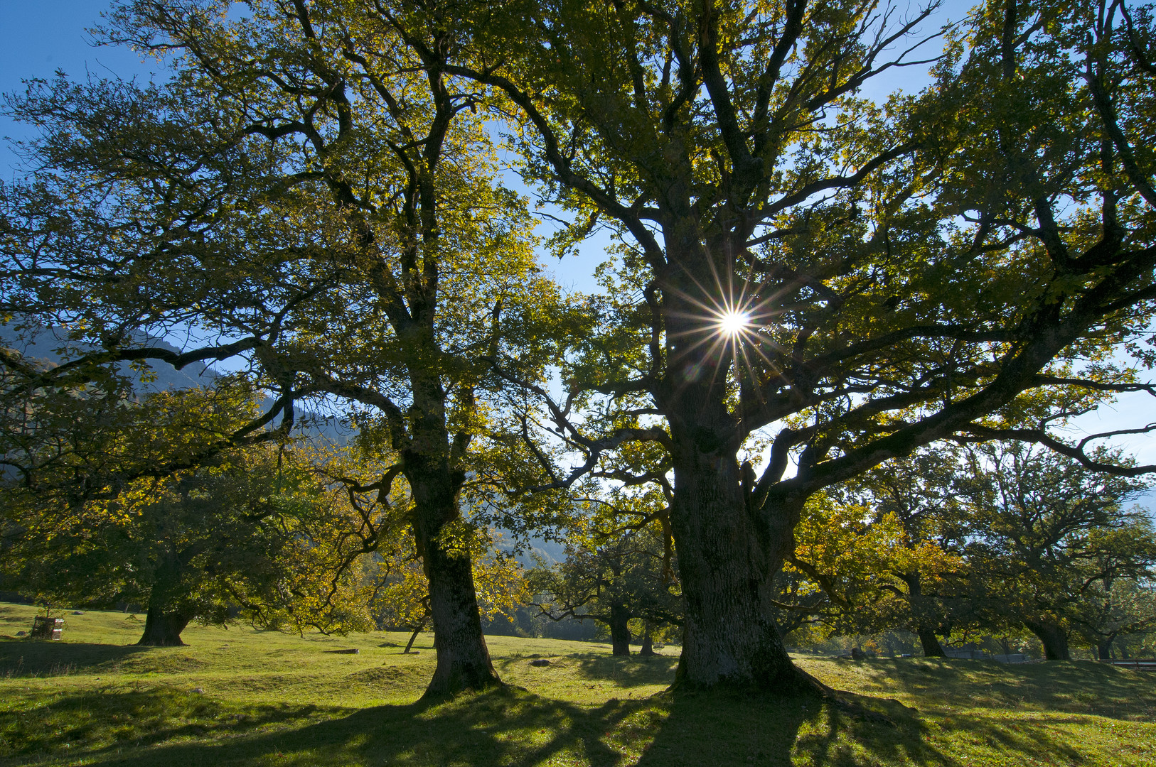 sonniger Herbsttag