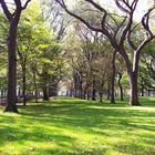 Sonniger Herbsttag im Central Park NYC