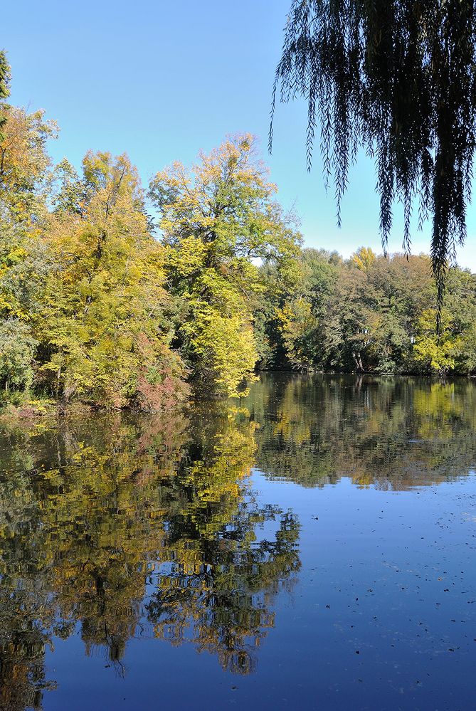 Sonniger Herbsttag im Laxenburger Schlosspark
