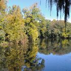 Sonniger Herbsttag im Laxenburger Schlosspark