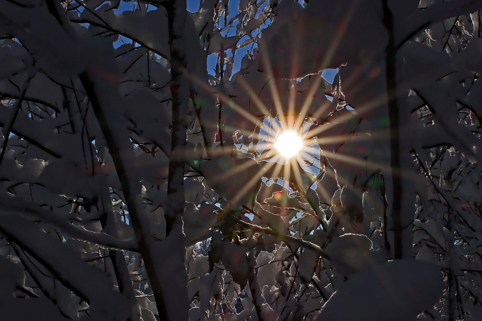 Sonniger Lichtblick