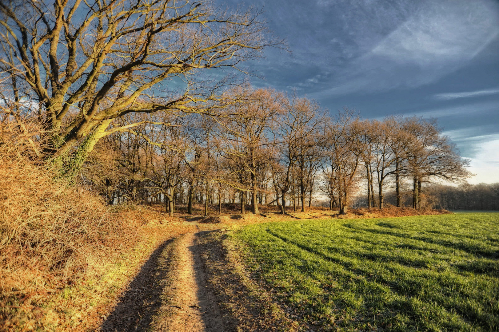 Sonniger Märzmorgen