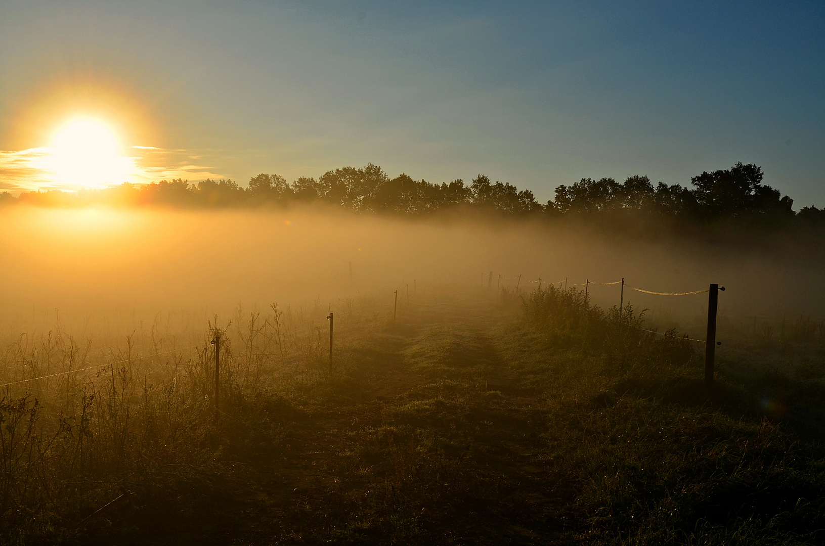 Sonniger Morgen im Herbst...