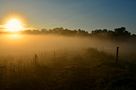 Sonniger Morgen im Herbst... by mahog 