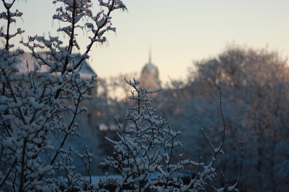 Sonniger Morgen im Winter