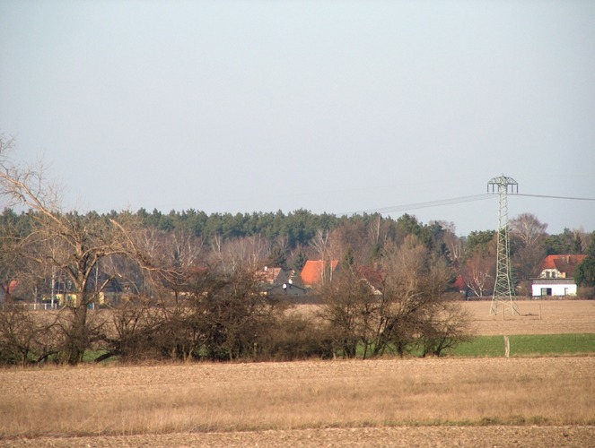 Sonniger Nachmittag auf dem Feld